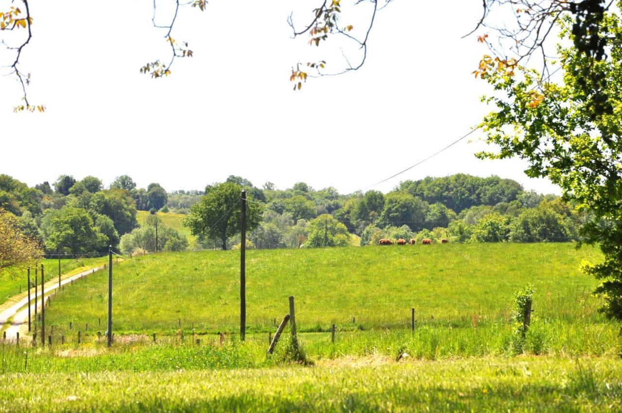 Domaine Du Castellare Bed & Breakfast Le Chalard Ngoại thất bức ảnh
